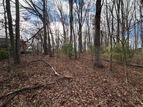 Lots 3&4 Ivanhoe Rd, Max Meadows, VA, 24360 | Card Image