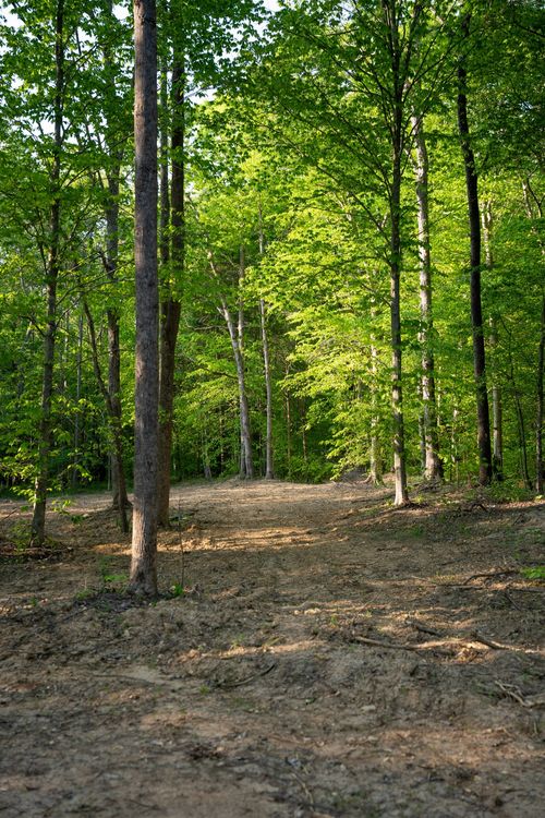 0 Pinewood Rd, Nunnelly, TN, 37137 | Card Image