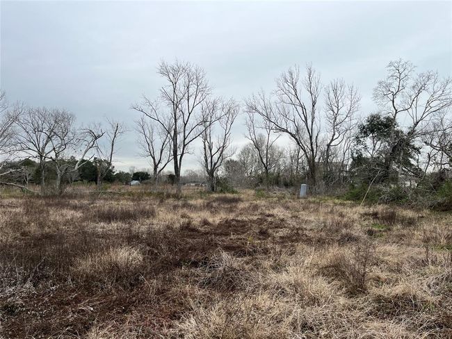 This is taken from near the middle of the lot, looking toward the street. | Image 7
