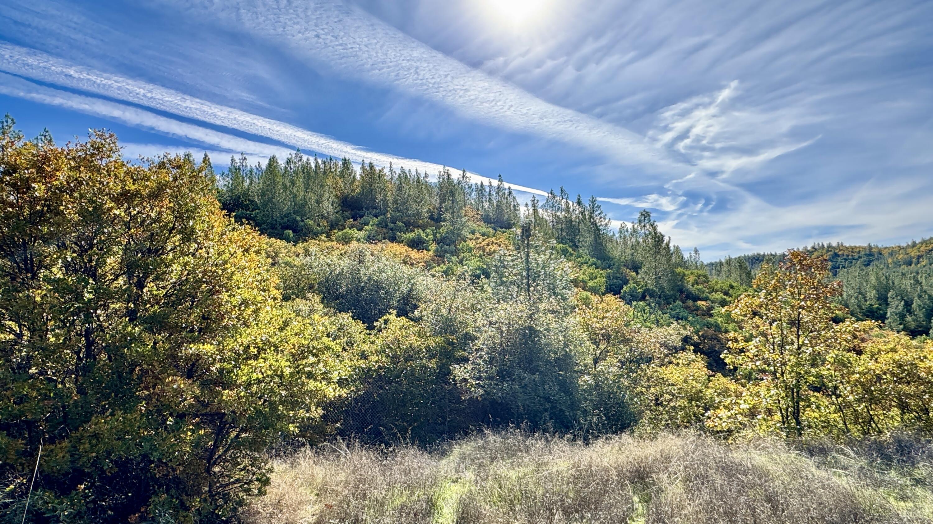 Land in Redding 5