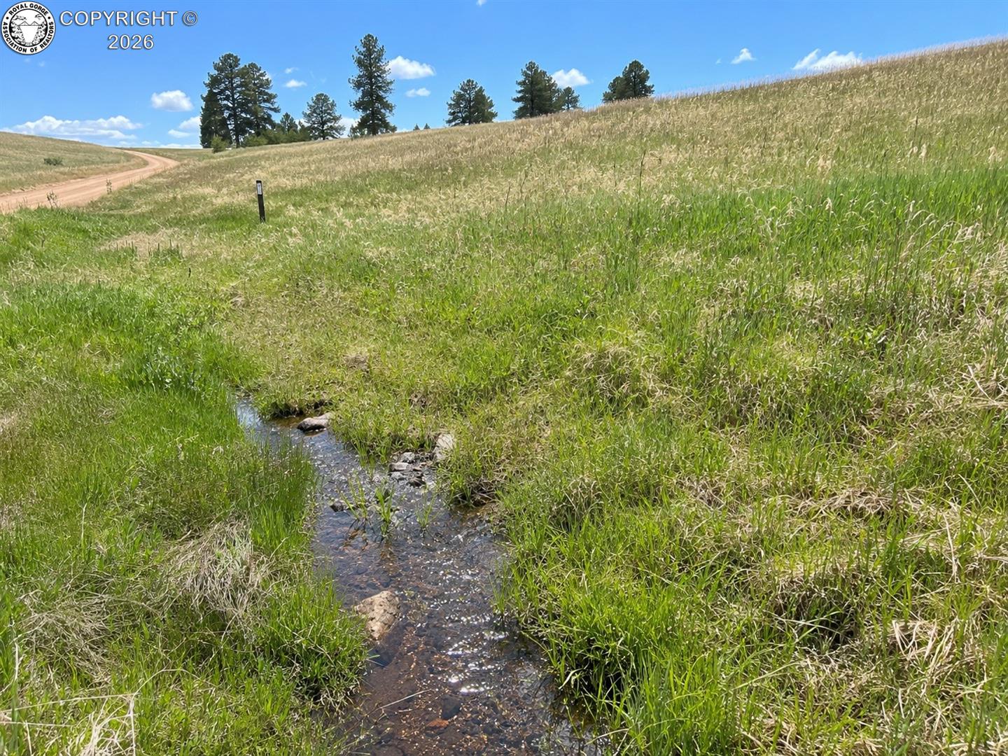 Land in Westcliffe 4