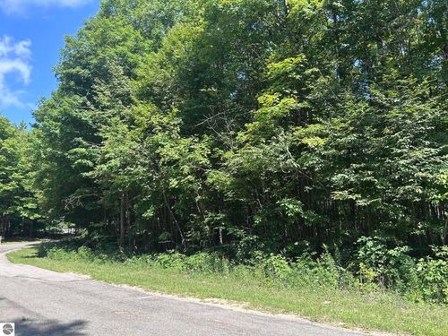 0 Antioch Dr, Mesick, MI, 49668 | Card Image
