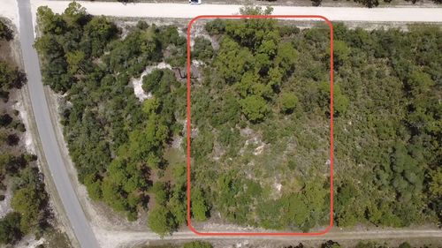 346 Blue Moon Ave, Lake Placid, FL, 33852 | Card Image