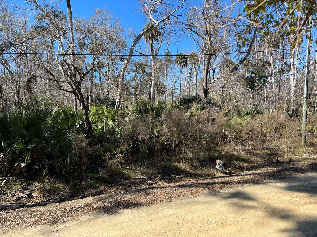 Land in Steinhatchee 2