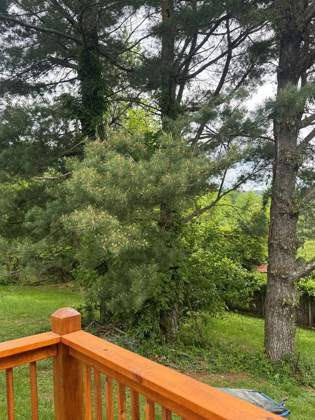 232 Overlook Dr, House other with 2 bedrooms, 2 bathrooms and null parking in Chilhowie VA | Image 31