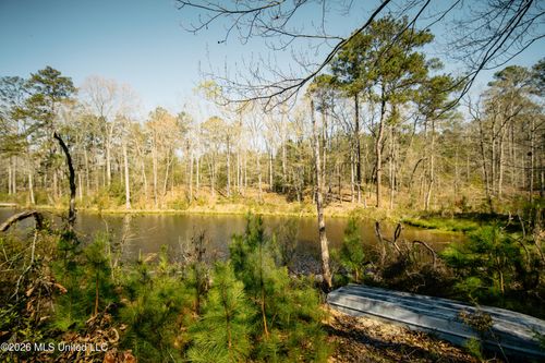 646 Harrisville Road, Braxton, MS, 39044 | Card Image