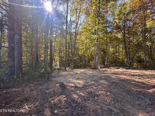 18.6 Ac Cave Branch Rd, Allardt, TN, 38504 | Card Image