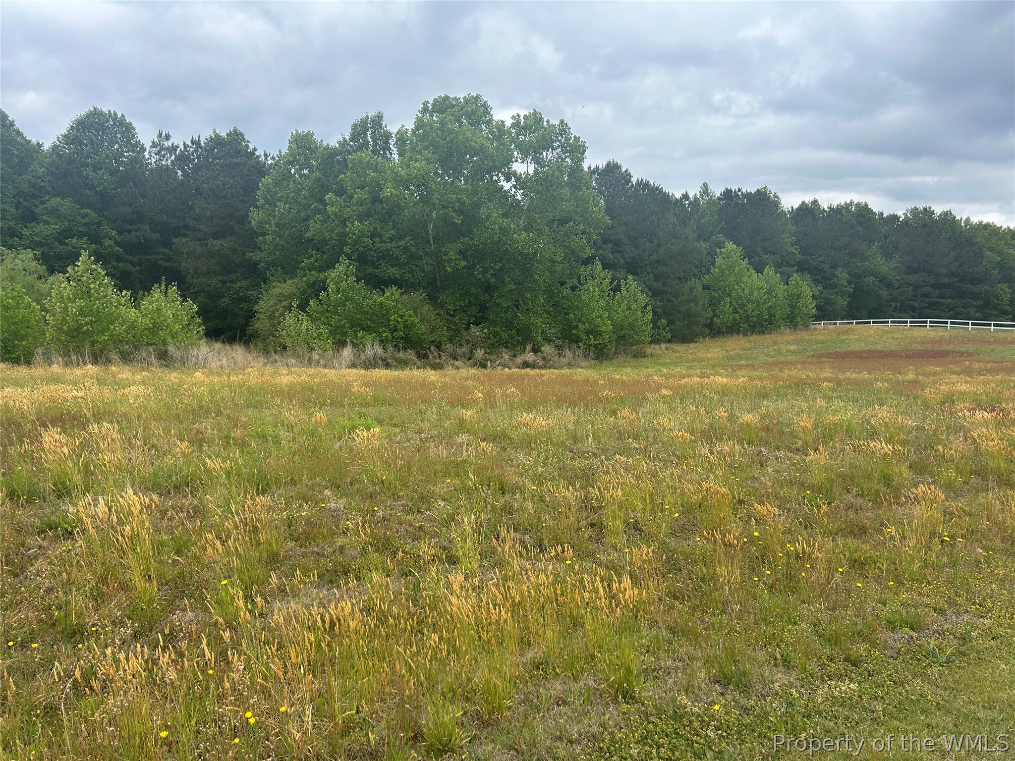 Land in Williamsburg 4
