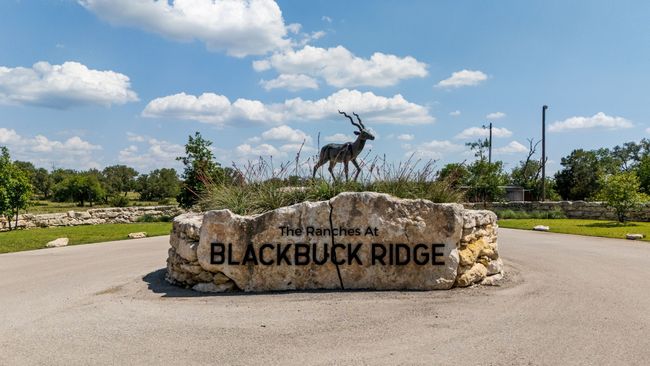 236 Blackbuck Ridge Dr, Home with 0 bedrooms, 0 bathrooms and null parking in Lampasas TX | Image 13
