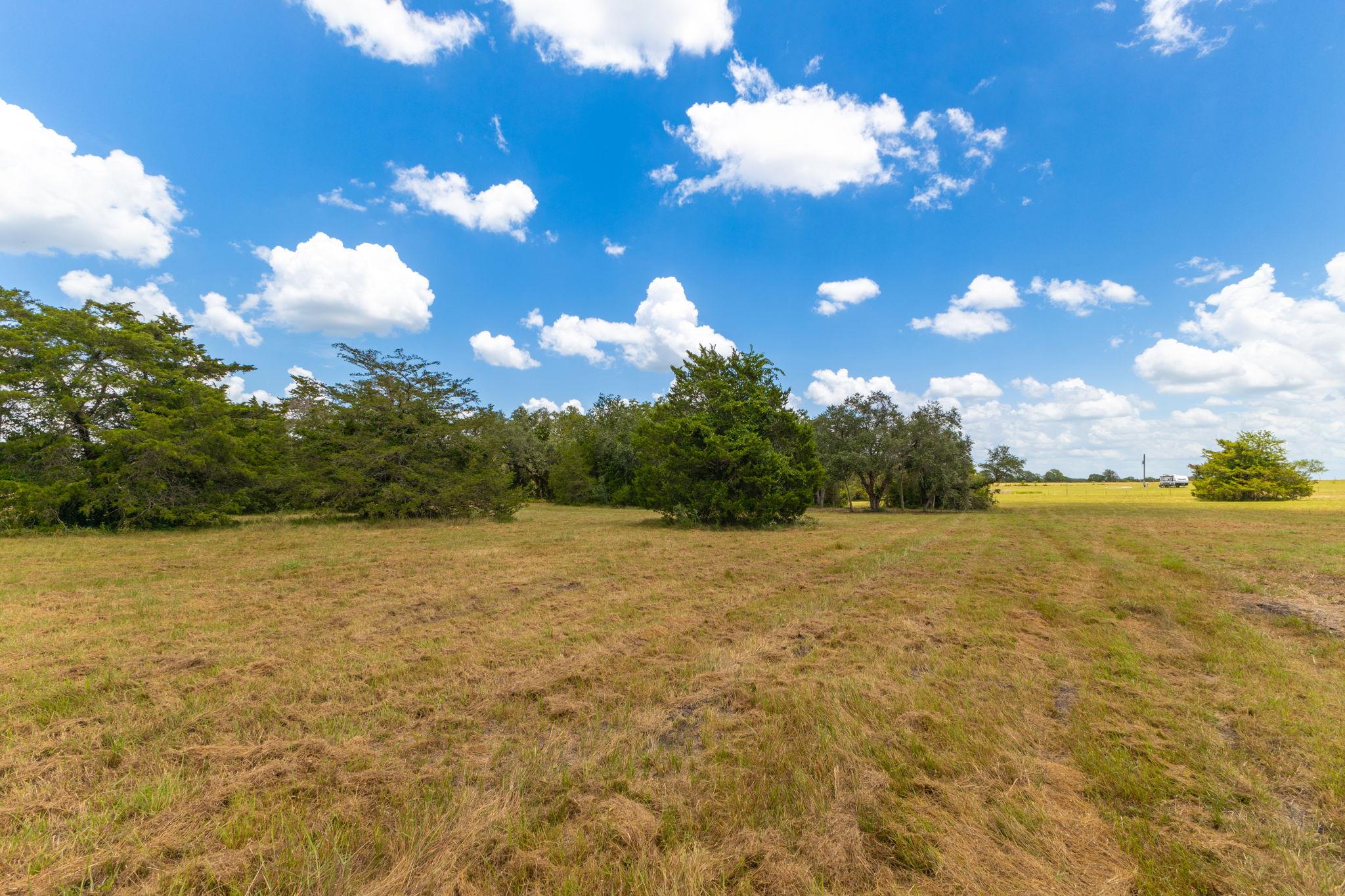 Land in Flatonia 5