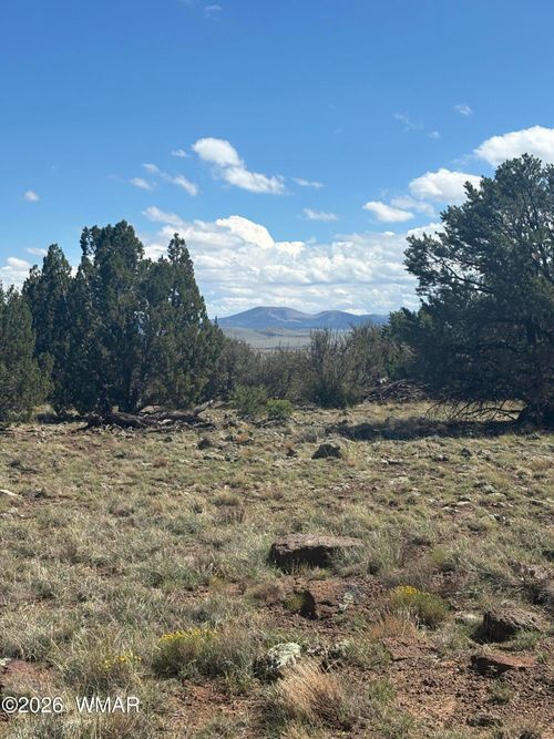 0201 County Rd, Concho, AZ, 85924 | Card Image