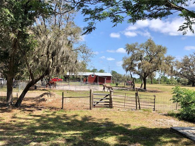 166 Buckhorn Run, House other with 3 bedrooms, 2 bathrooms and null parking in Lakeland FL | Image 23