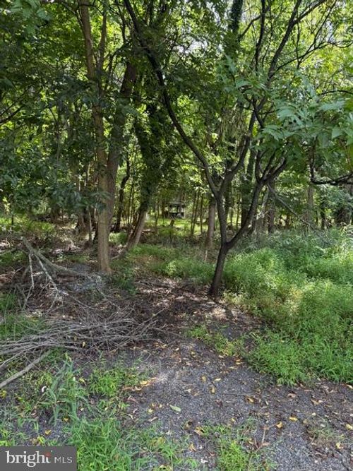 lot-3-50 Saint Paul Street, BOONSBORO, MD, 21713 | Card Image