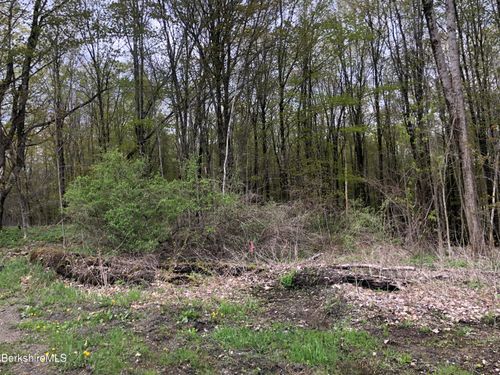 5 Watson Rd, Hinsdale, MA, 01235-9359 | Card Image