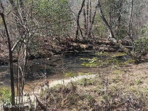 255329 Copperhead Rd, Oakdale, TN, 37829-3024 | Card Image