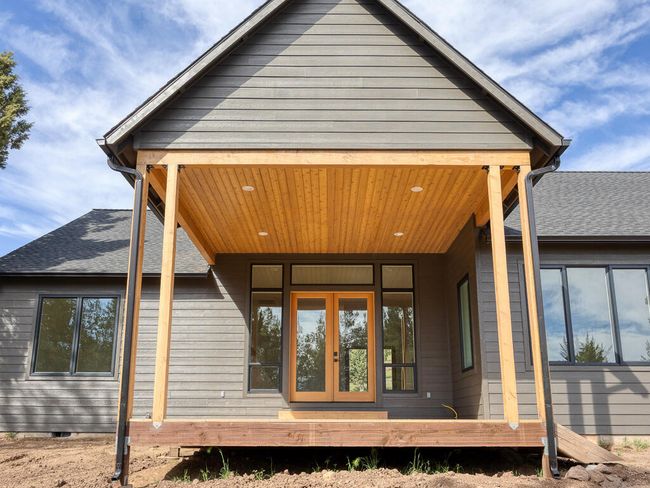 1168 Paper Birch-10 | Image 10