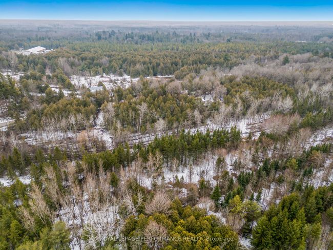 8441 Cooper Hill Rd, Home with 0 bedrooms, 0 bathrooms and null parking in Metcalfe ON | Image 9