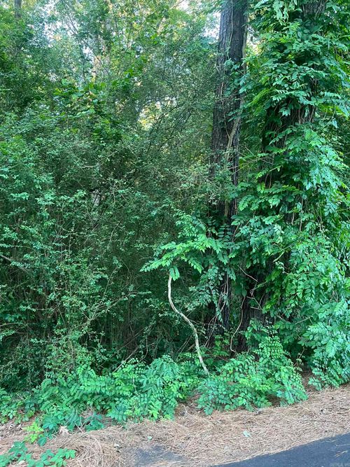 Lot 33 Tanglewood Dr, Monticello, AR, 71655 | Card Image