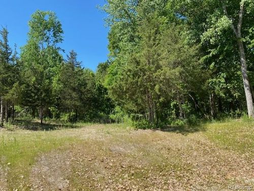 lot 5 Dollar Ridge Lane, Green Oak Township, MI, 48178 | Card Image