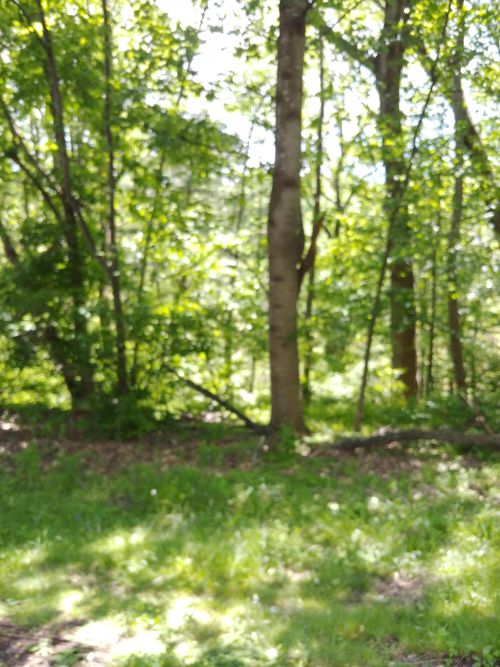 7248 Carriage Hills Dr, Roanoke, VA, 24018-5833 | Card Image