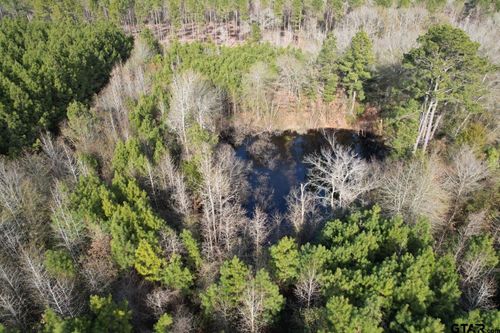 Tract C County Road 4037, Timpson, TX, 75975 | Card Image