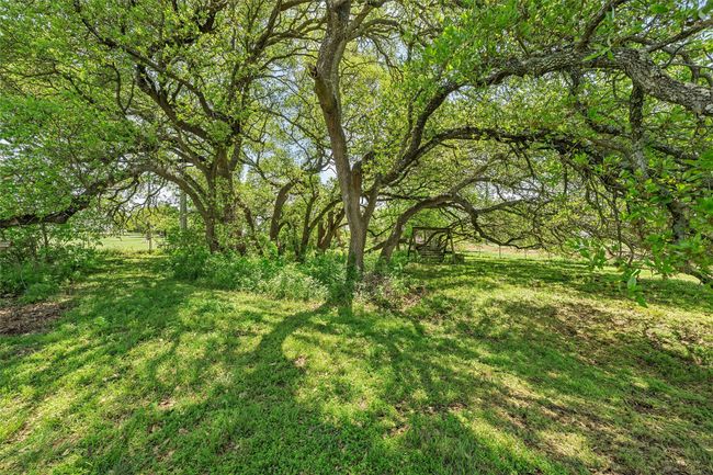 View of yard | Image 27