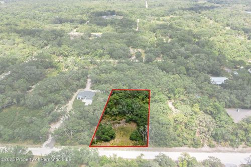 8184 Chimney Rock Dr, WEBSTER, FL, 33597-9029 | Card Image