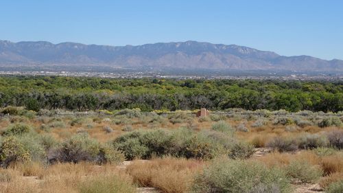 5008 Cinnamon Teal Ct Nw, Albuquerque, NM, 87120-4737 | Card Image