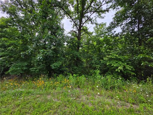 0 Rountree Dr, Bella Vista, AR, 72715 | Card Image