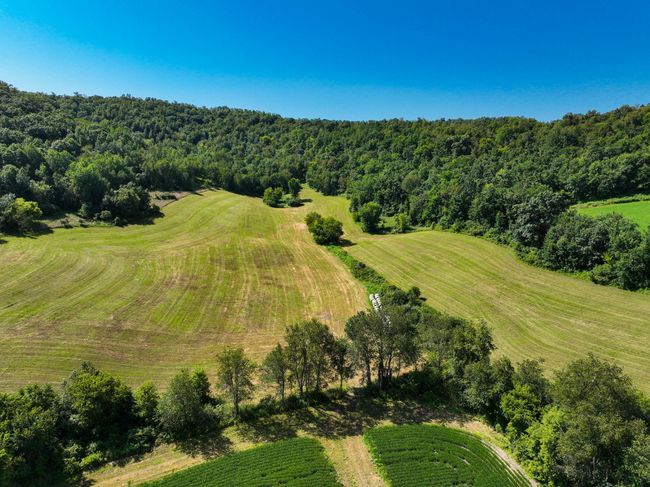 DJI_0364.jpg | Image 23