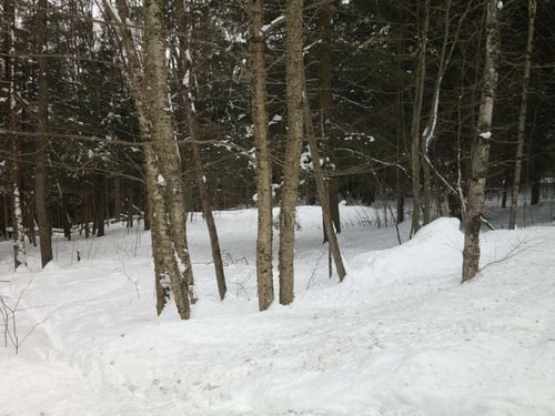 0 Plot Rd, Johnson, VT, 05656 | Card Image