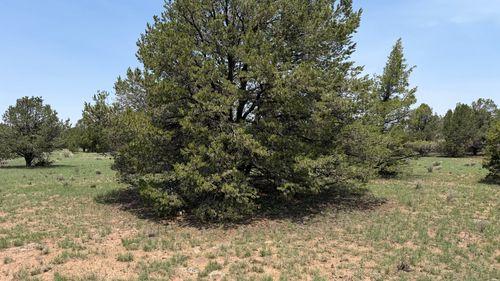 n-2-7 Gila Dr, Quemado, NM, 87829-9001 | Card Image