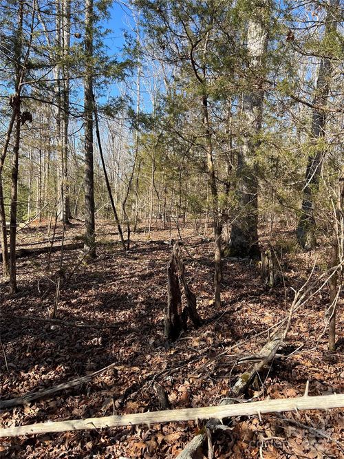 10-00 Treaty Point Dr, Fountain Inn, SC, 29644 | Card Image