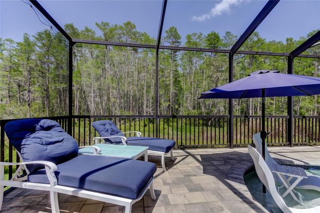 14975 Renaissance Ave, House other with 4 bedrooms, 3 bathrooms and null parking in ODESSA FL | Image 60