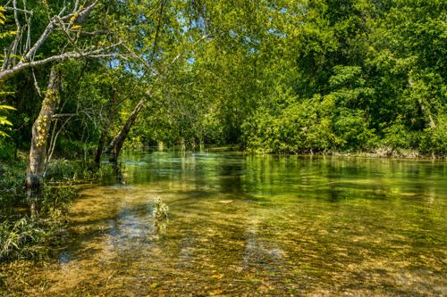 1498 Elmer King Road, Belton, TX, 76513 | Card Image