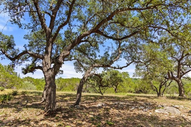Surrounded by mature, majestic trees, this property combines privacy with natural beauty in an unbeatable location. | Image 29