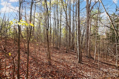 Lot 62 Dirksen Avenue, Nebo, NC, 28655 | Card Image