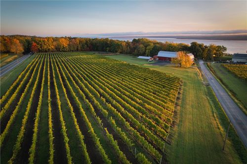 6800 State Route 89, Ovid, NY, 14521-9599 | Card Image