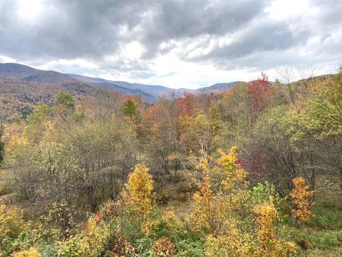 419 Shampeny Hill Rd, Hancock, VT, 05748-9788 | Card Image