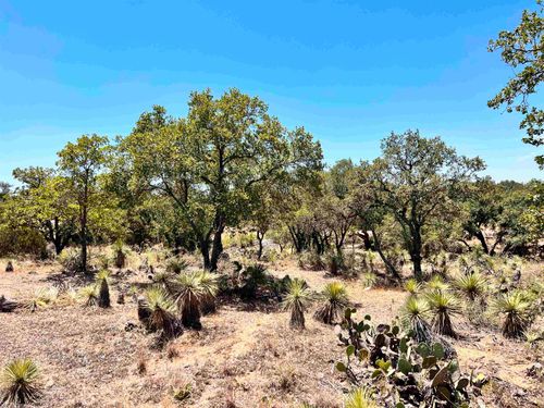 Lot 320 Tbd W. Castlebriar Drive, Granite Shoals, TX, 78654 | Card Image