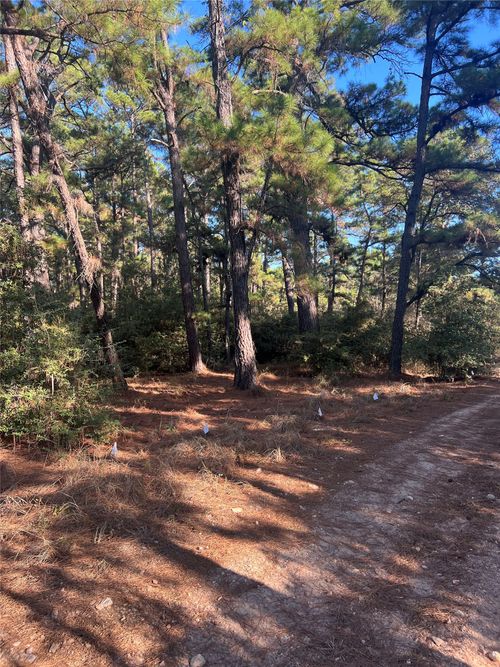 TBD Pine Lodge Dr, Bastrop, TX, 78602 | Card Image