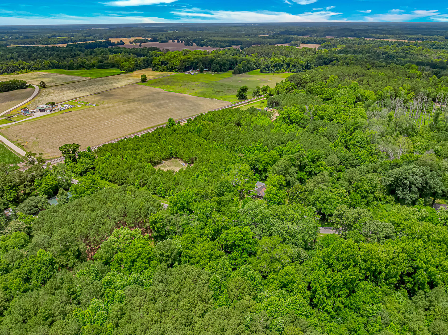 Land in Mullins 5