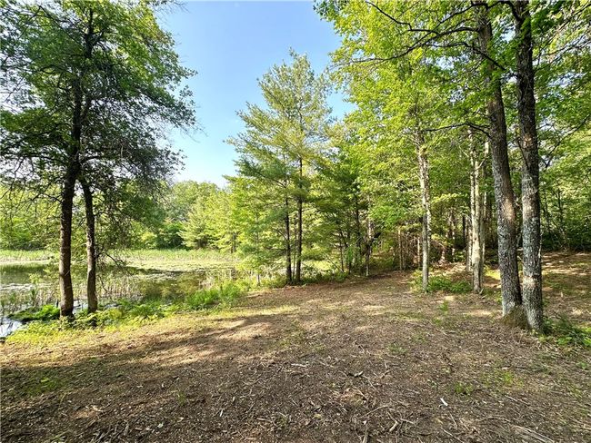 16 295th Street, Home with 0 bedrooms, 0 bathrooms and null parking in Holcombe WI | Image 10