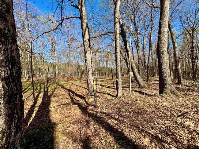 0 Westminster Rd, Home with 0 bedrooms, 0 bathrooms and null parking in Putney VT | Image 9