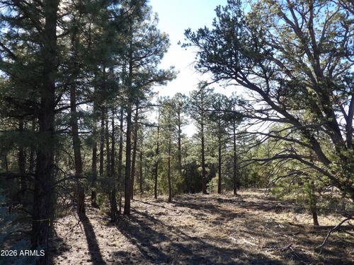 50-5365 Twin Oaks Loop, Happy Jack, AZ, 86024 | Card Image