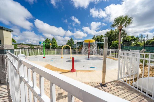 1323 Baythorn Dr, Home with 0 bedrooms, 0 bathrooms and null parking in Wesley Chapel FL | Image 24