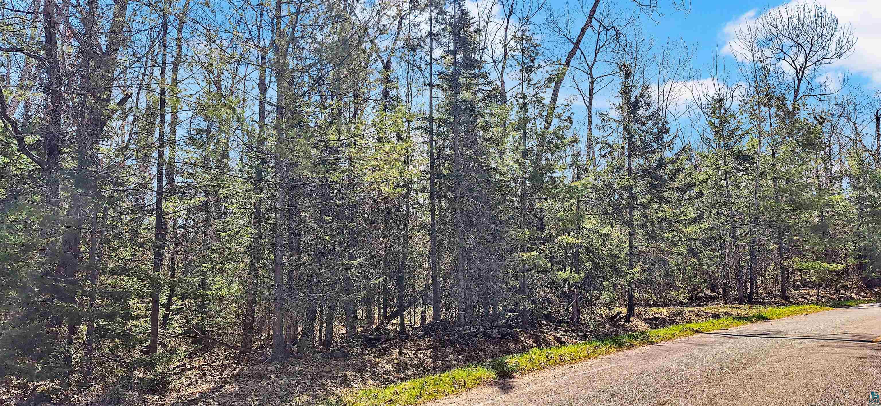 Land in LaPointe 5