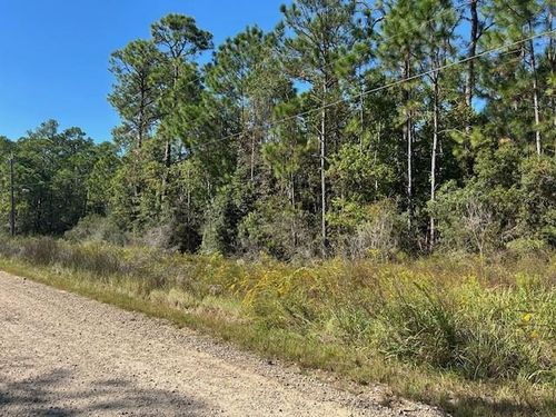 0 Washington Rd, Coden, AL, 36523 | Card Image