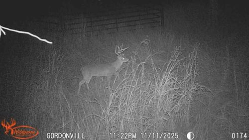 1648 Gordonville Rd, Gordonville, TX, 76245-4157 | Card Image