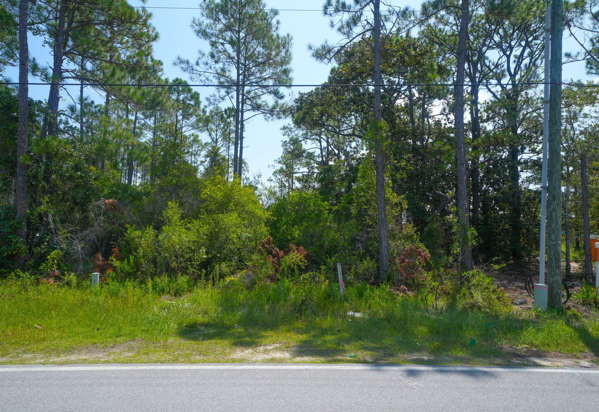 Land in Santa Rosa Beach 5